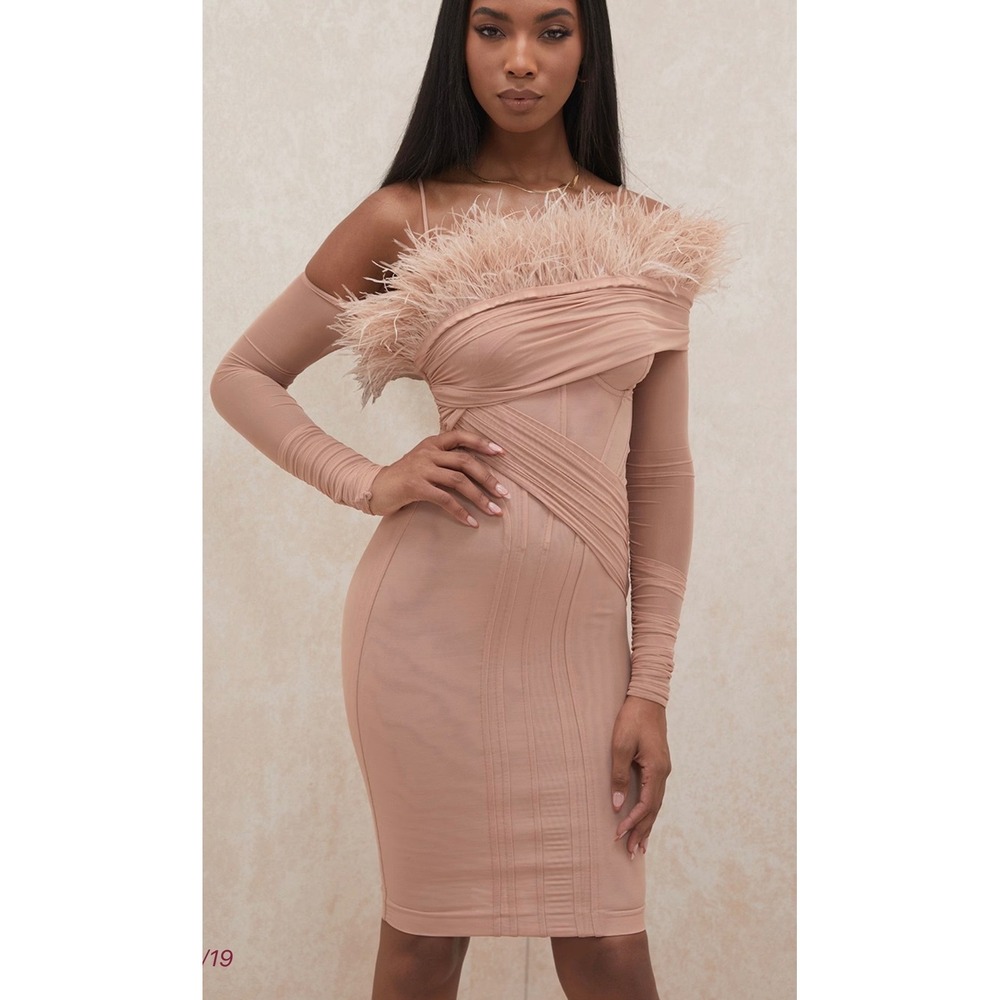 House of CB London Pink NAIRA 
Blush Mesh Corset Feather Dress - Small